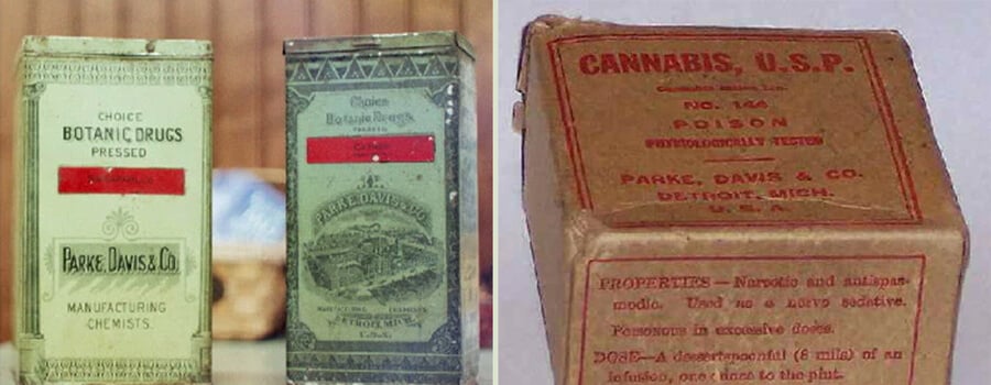 Vintage-Cannabisverpackung von Parke, Davis & Co. aus dem 19. Jahrhundert. Zeigt frühe pharmazeutische Verpackungen vor der Cannabisregulierung.