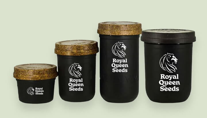 Moderne Royal Queen Seeds Behälter in verschiedenen Größen. Zeigt, wie sich die Cannabisverpackung weiterentwickelt hat, um die Produktqualität besser zu erhalten.