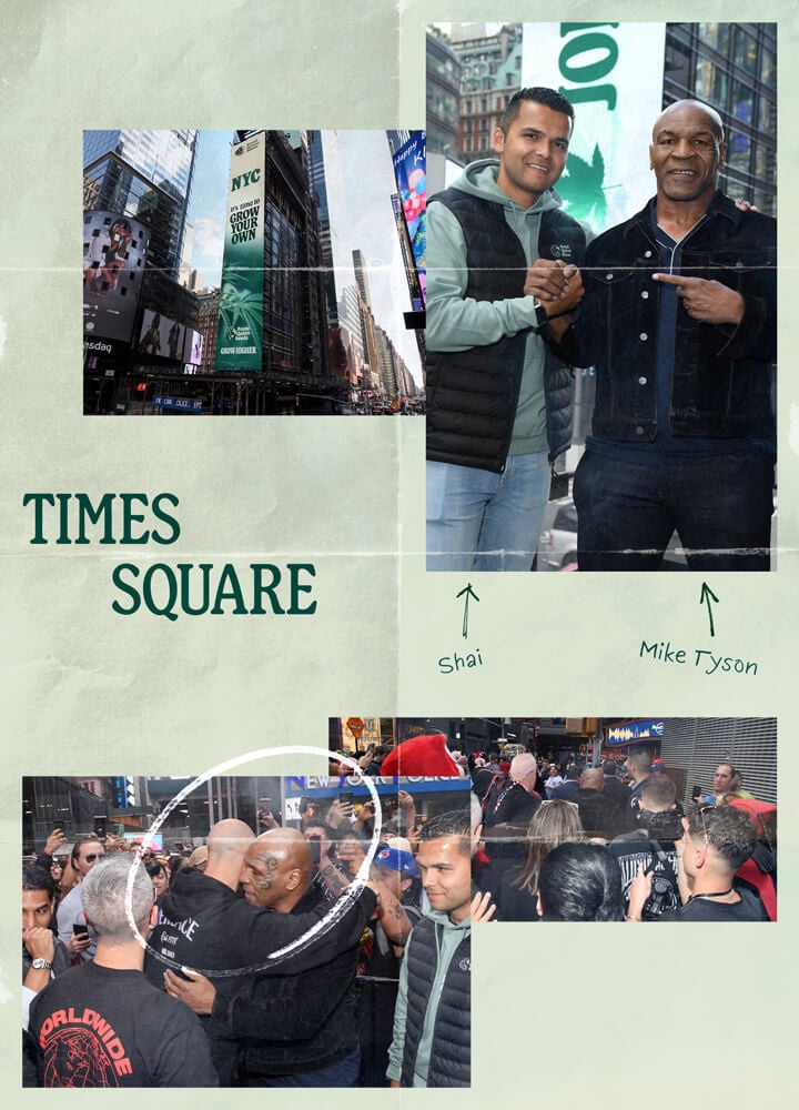 "Ein Collage von Fotos zu Times Square in New York City, mit dem ikonischen Times Square Billboard, einem Foto von Mike Tyson und Bildern von Menschen, die die geschäftige Atmosphäre des Times Square genießen.  "