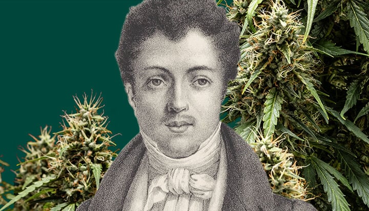 Schwarzweiß-Porträt von Alexandre Dumas vor einem grünen Hintergrund, umgeben von Cannabis-Pflanzen rund um den ikonischen Schriftsteller.