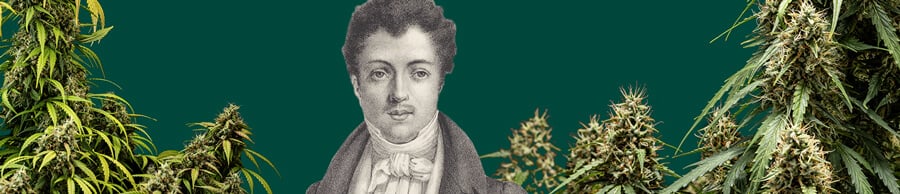 Schwarzweiß-Porträt von Alexandre Dumas vor einem grünen Hintergrund, umgeben von Cannabis-Pflanzen rund um den ikonischen Schriftsteller.