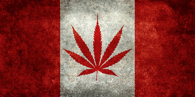 kanada cannabis