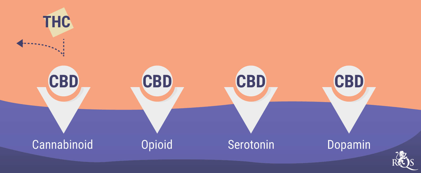 Cannabis und psychische Gesundheit: ein kompliziertes Verhältnis