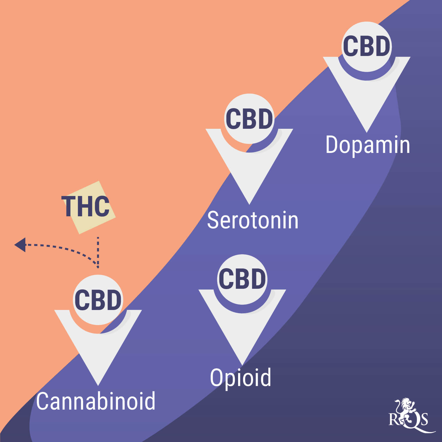 Cannabis und psychische Gesundheit: ein kompliziertes Verhältnis