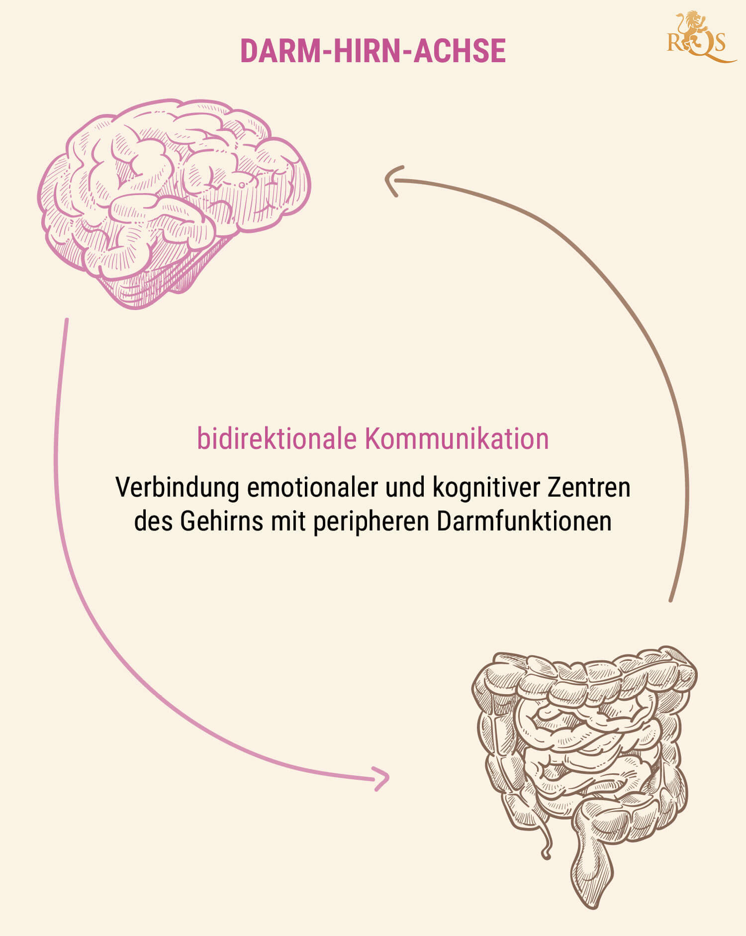 Warum ist Darmgesundheit wichtig?