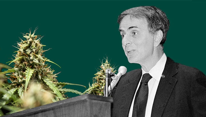 Ein detailliertes Porträt von Carl Sagan, der in ein Mikrofon spricht, vor einem grünen Hintergrund mit lebendigen, üppigen Cannabis-Pflanzen.