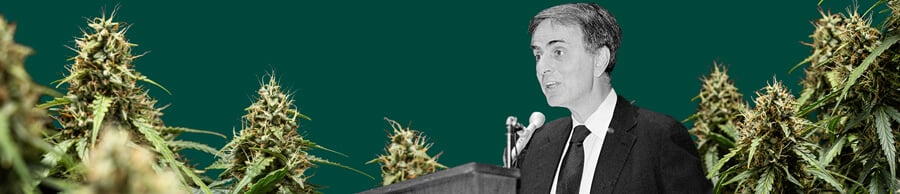 Ein detailliertes Porträt von Carl Sagan, der in ein Mikrofon spricht, vor einem grünen Hintergrund mit lebendigen, üppigen Cannabis-Pflanzen.