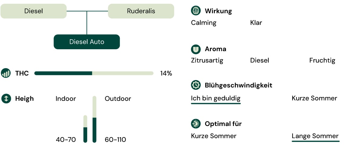 Diesel Auto Key Characteristics