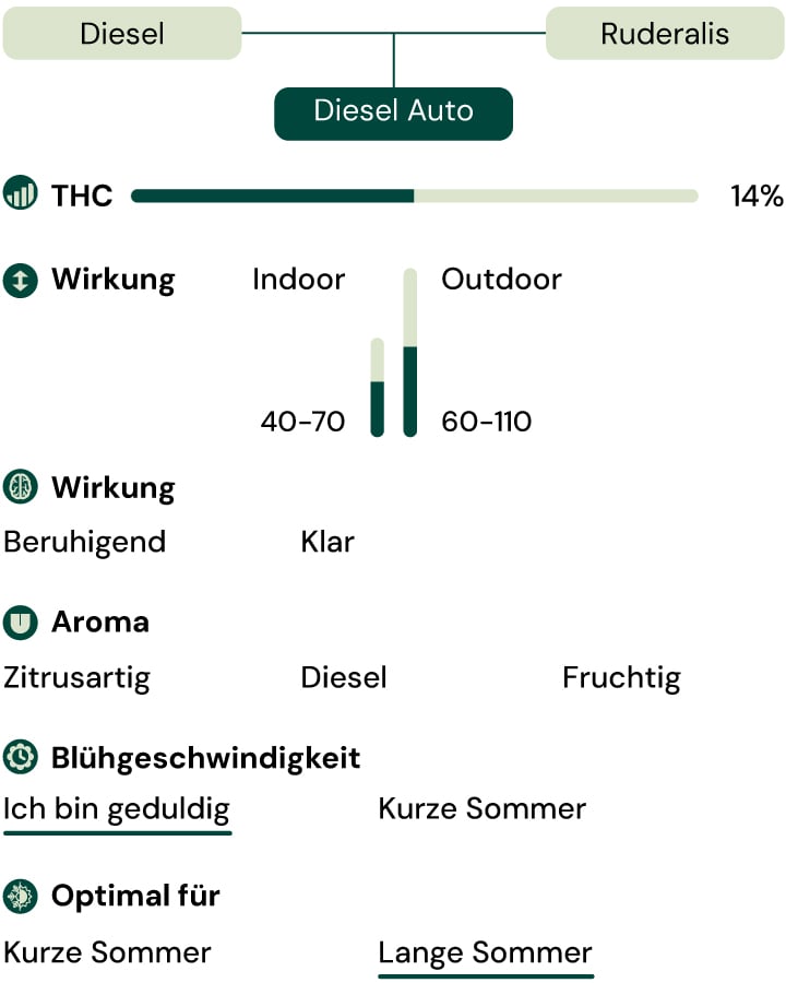 Diesel Auto Key Characteristics