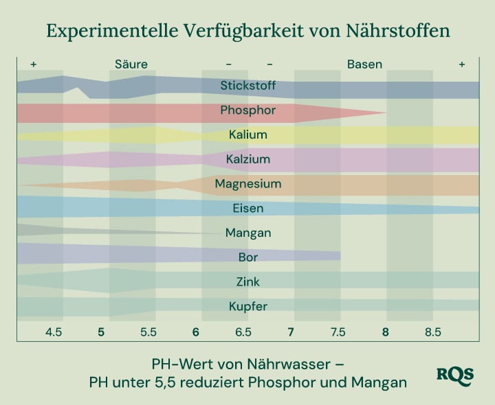 Balkendiagramm, das zeigt, wie der pH-Wert des Bodens die Verfügbarkeit von Nährstoffen für Pflanzen beeinflusst. Die X-Achse reicht von pH 4,5 bis 8,5, während die Y-Achse die relative Verfügbarkeit der Nährstoffe darstellt. Angezeigte Nährstoffe umfassen Stickstoff, Phosphor, Kalium, Kalzium, Magnesium, Eisen, Mangan, Bor, Zink und Kupfer.