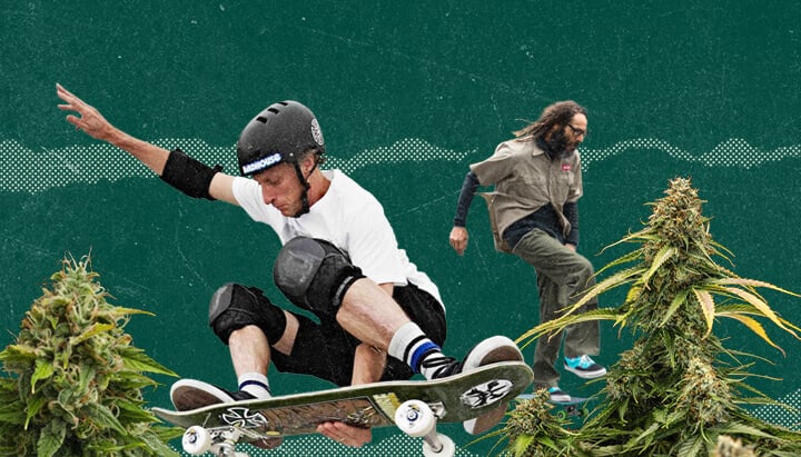 Überschneidung zwischen Cannabiskultur und Skateboarding.