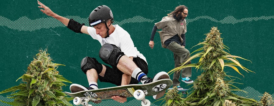 Überschneidung zwischen Cannabiskultur und Skateboarding.