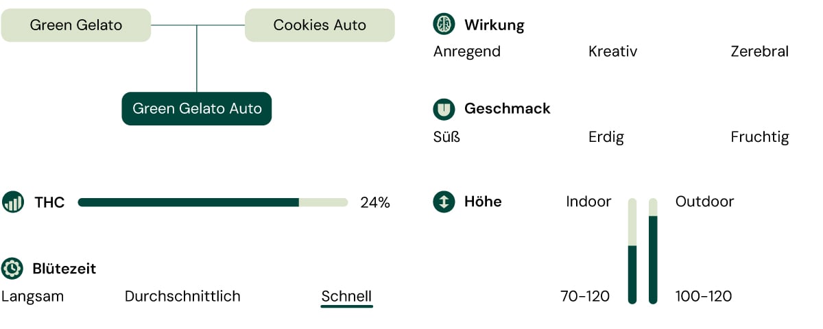 Green Gelato Auro Characteristics