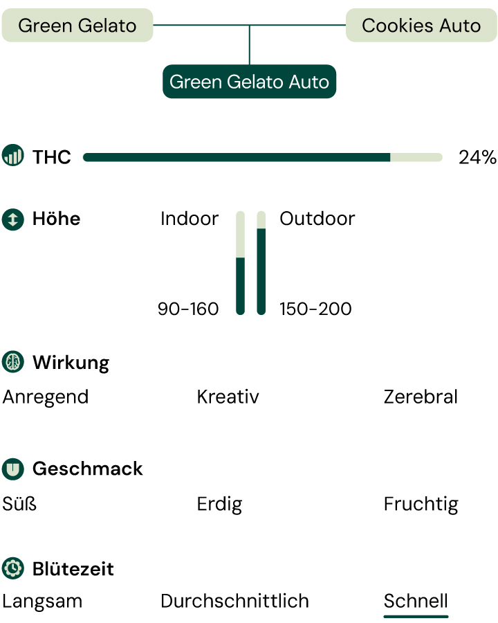 Green Gelato Auro Characteristics