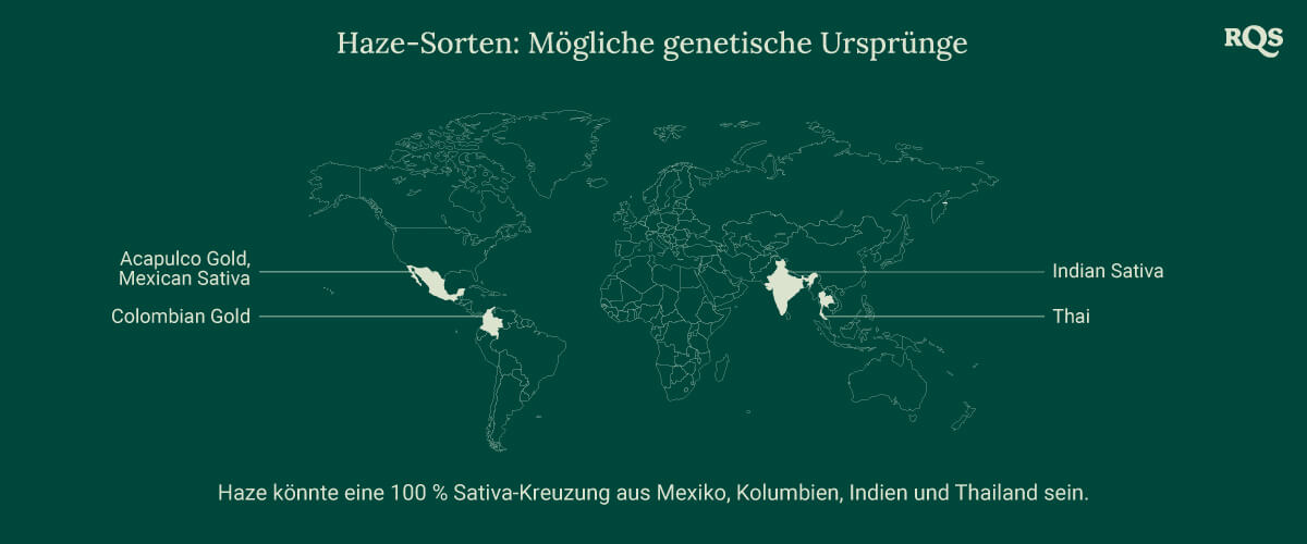 Eine Weltkarte, die die möglichen Ursprünge der Haze-Cannabissorten zeigt, mit Linien, die Mexiko, Kolumbien, Indien und Thailand mit einem zentralen Punkt namens 