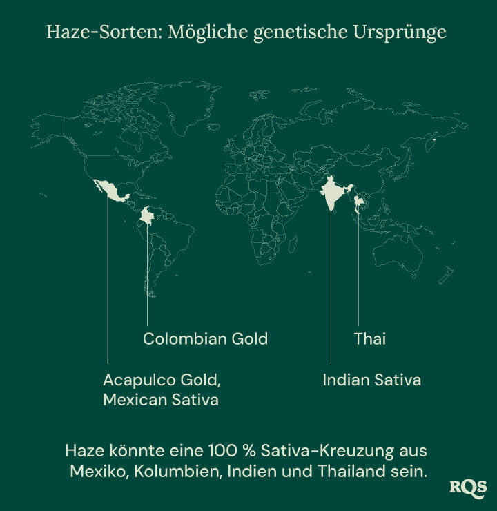 Eine Weltkarte, die die möglichen Ursprünge der Haze-Cannabissorten zeigt, mit Linien, die Mexiko, Kolumbien, Indien und Thailand mit einem zentralen Punkt namens 