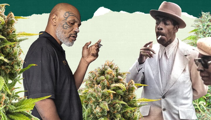 "Ein Foto von Mike Tyson und einer weiteren Person, die in einem üppigen Cannabisfeld stehen, umgeben von hohen grünen Pflanzen, und die Verbindung zum Cannabisanbau hervorheben. "