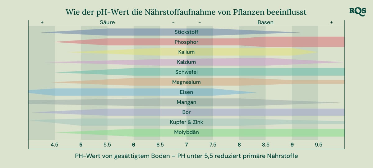 Balkendiagramm, das zeigt, wie der pH-Wert des Bodens (von 4,5 bis 9,5) die Verfügbarkeit von Nährstoffen wie Stickstoff, Phosphor, Kalium, Kalzium, Schwefel, Magnesium, Eisen, Mangan, Bor, Kupfer, Zink und Molybdän beeinflusst.