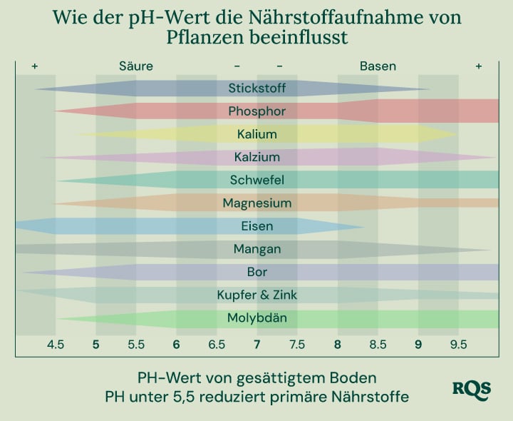 Balkendiagramm, das zeigt, wie der pH-Wert des Bodens (von 4,5 bis 9,5) die Verfügbarkeit von Nährstoffen wie Stickstoff, Phosphor, Kalium, Kalzium, Schwefel, Magnesium, Eisen, Mangan, Bor, Kupfer, Zink und Molybdän beeinflusst.