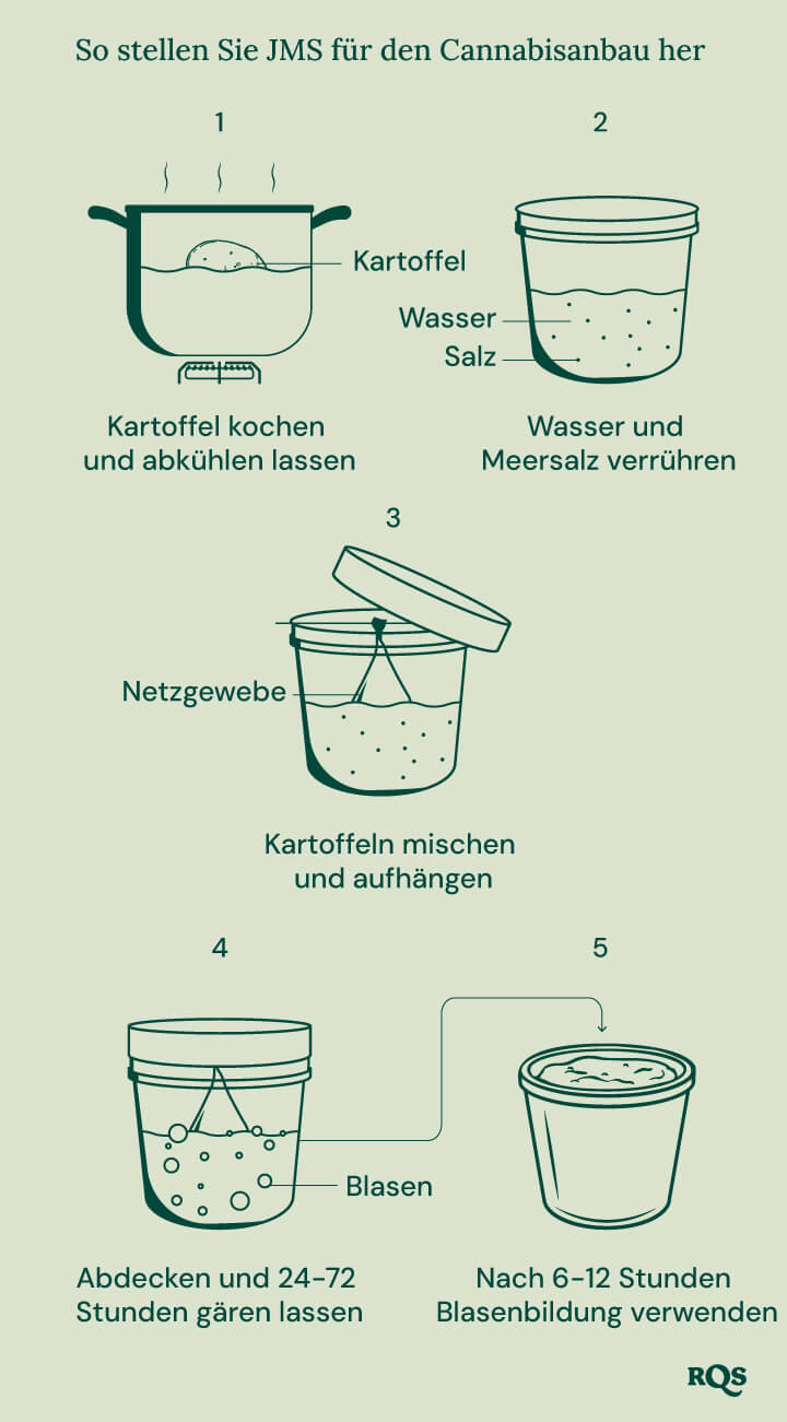 Eine Schritt-für-Schritt-Anleitung zur Herstellung eines Kartoffeldüngers für Cannabispflanzen.