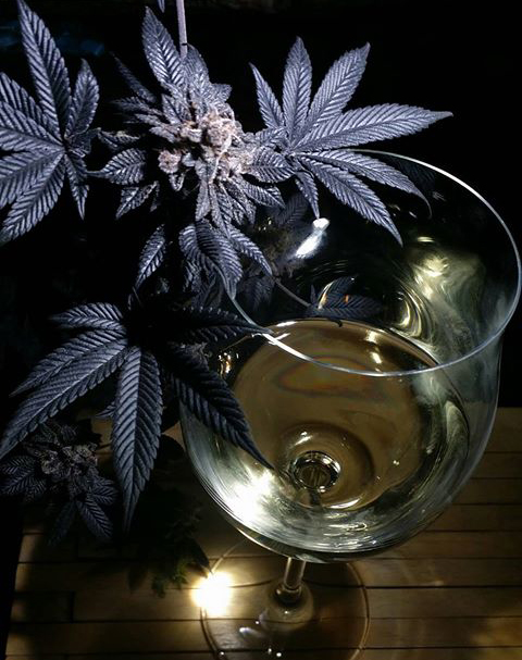 Die Kombination Von Wein Und Cannabis Rqs Blog