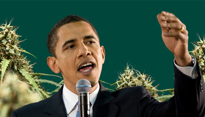 Ein Porträt von Barack Obama, der in ein Mikrofon spricht und die Hand erhoben hat, vor einem grünen Hintergrund mit Cannabis-Pflanzen.