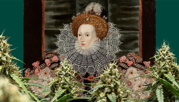 Ein farbenfrohes Porträt von Königin Elizabeth I, zentriert und umrahmt von Cannabis-Pflanzen mit dichten Blüten, vor einem dunkelgrünen Hintergrund.