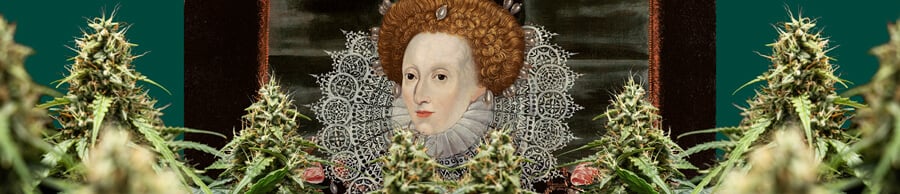 Ein farbenfrohes Porträt von Königin Elizabeth I, zentriert und umrahmt von Cannabis-Pflanzen mit dichten Blüten, vor einem dunkelgrünen Hintergrund.