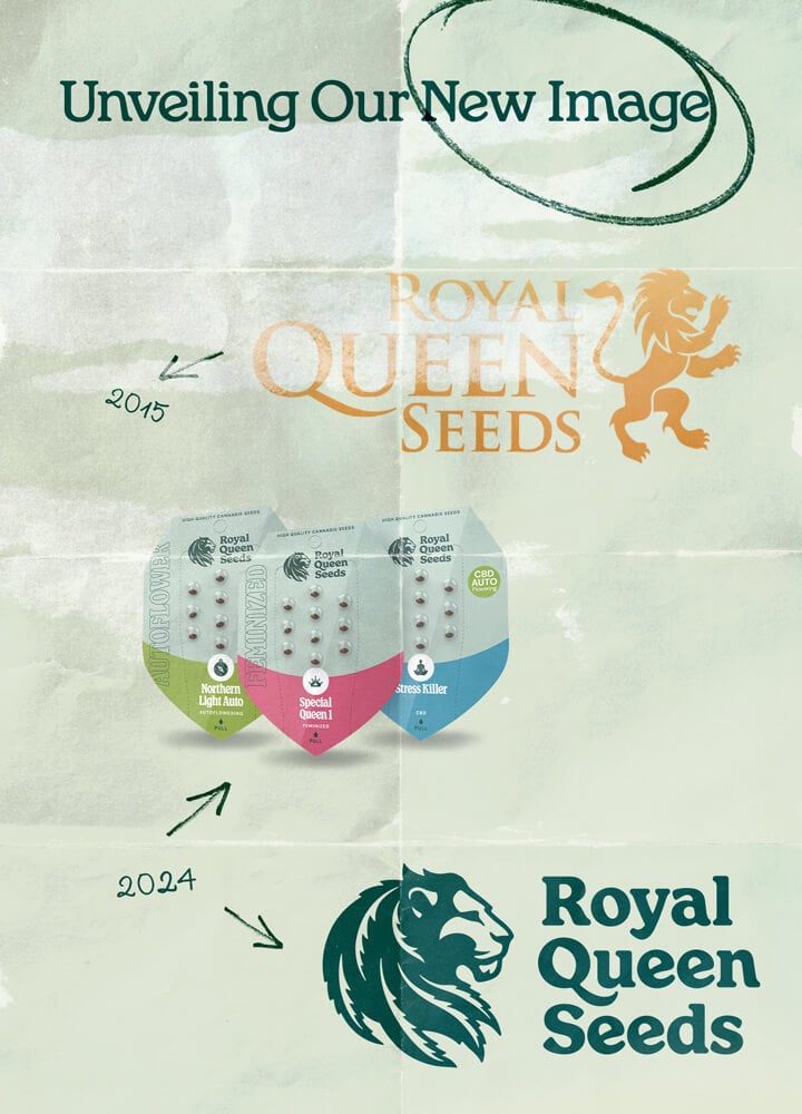 "Die Entwicklung des Royal Queen Seeds Logos von 2015 bis 2024, das das ursprüngliche goldene Logo mit einem Löwen und das aktualisierte grüne Logo mit einem modernen Löwen-Design zeigt. Das Bild zeigt auch die neuen Samenverpackungen des Unternehmens.  "