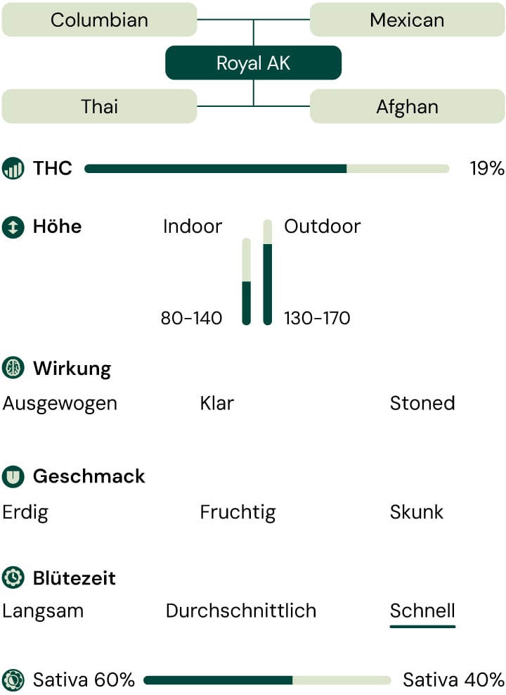 Royal AK Characteristics