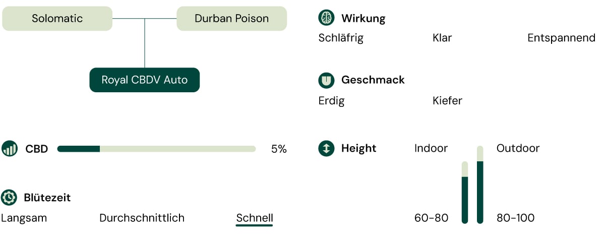 Eine visuelle Darstellung der Cannabis-Sorte Royal CBDV Auto, die ihre Hauptmerkmale hervorhebt: CBD-Gehalt, Effekte, Geschmack, Höhe, Blütezeit und Eignung für den Innen- und Außenanbau.