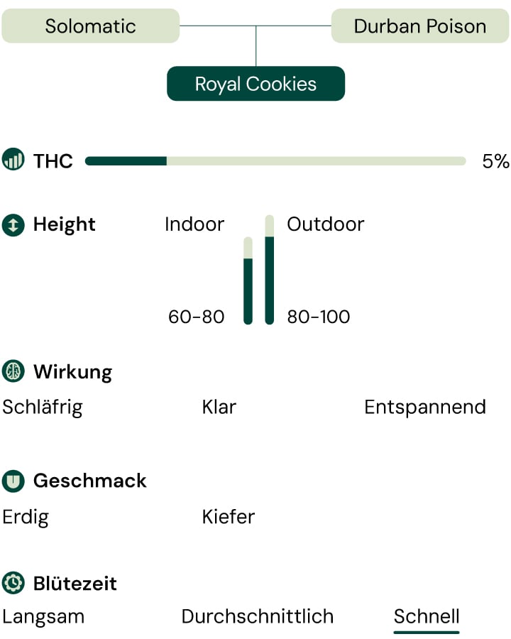 Eine visuelle Darstellung der Cannabis-Sorte Royal CBDV Auto, die ihre Hauptmerkmale hervorhebt: CBD-Gehalt, Effekte, Geschmack, Höhe, Blütezeit und Eignung für den Innen- und Außenanbau.