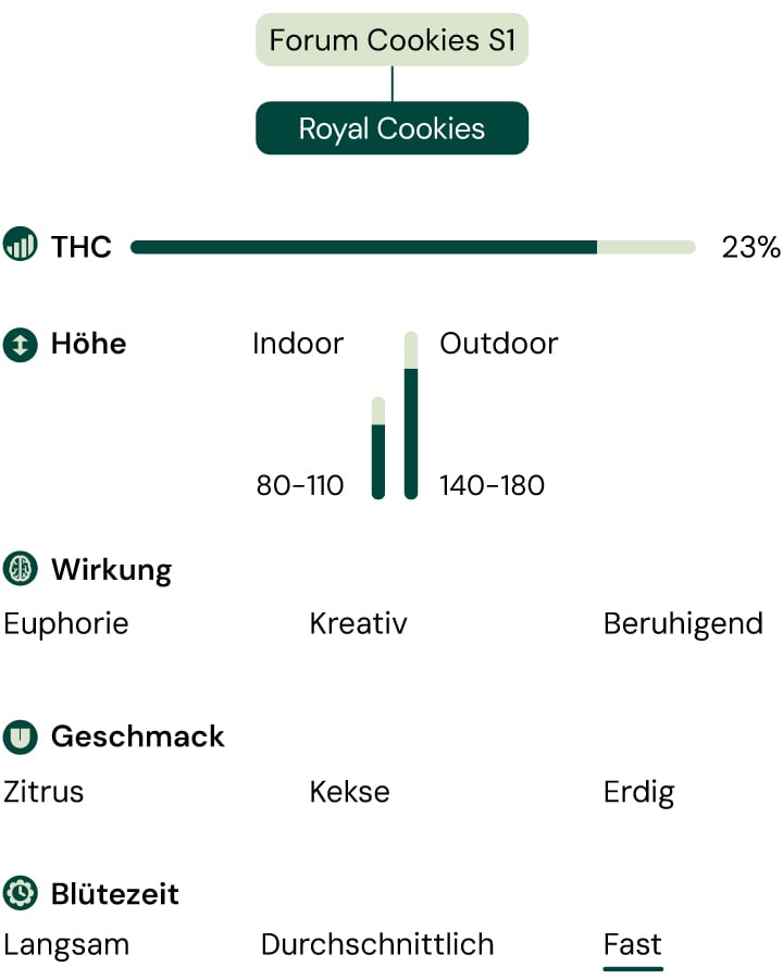 Royal Cookies Strain Characteristics