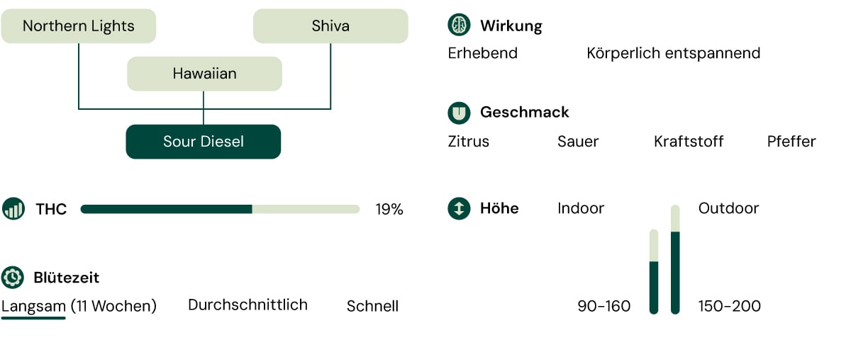 Sour Diesel Characteristics