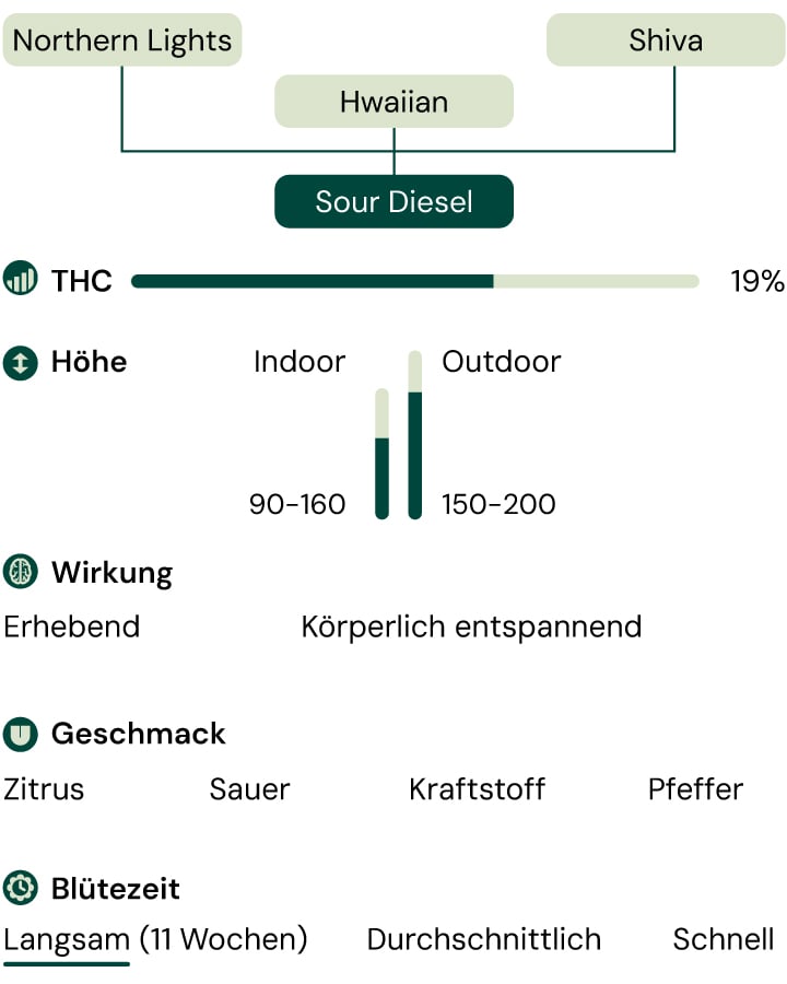 Sour Diesel Characteristics