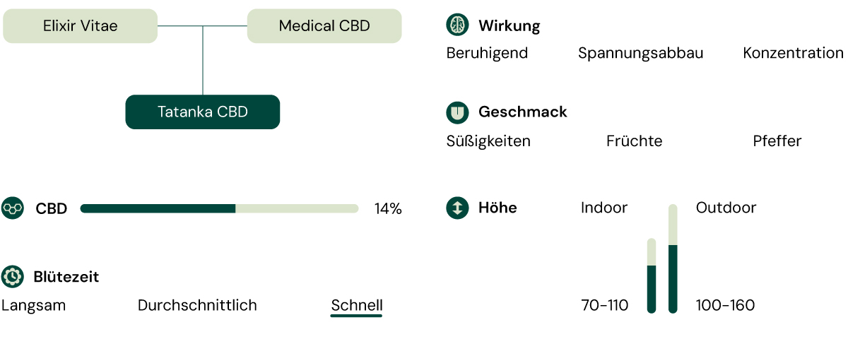 Tatanka CBD Merkmalsdiagramm: Effekte, Geschmacksrichtungen, CBD-Gehalt, Höhe, Blühgeschwindigkeit und Anbaubedingungen