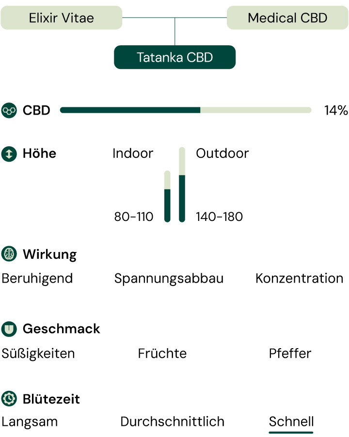 Tatanka CBD Merkmalsdiagramm: Effekte, Geschmacksrichtungen, CBD-Gehalt, Höhe, Blühgeschwindigkeit und Anbaubedingungen