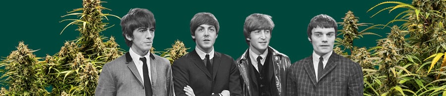 Schwarzweiß-Foto von The Beatles, mit allen vier Mitgliedern, umgeben von Cannabis-Pflanzen und einem dunkelgrünen Hintergrund, das ikonische Szenen hervorhebend.