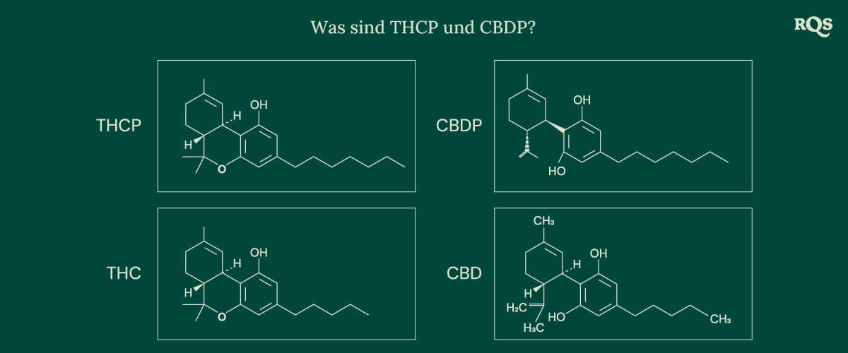 Chemische Strukturen von vier Cannabinoiden: THCP, CBDP, THC und CBD, einschließlich der neu entdeckten THCP und CBDP.