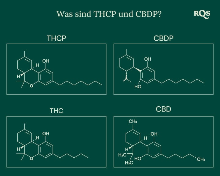 Chemische Strukturen von vier Cannabinoiden: THCP, CBDP, THC und CBD, einschließlich der neu entdeckten THCP und CBDP.