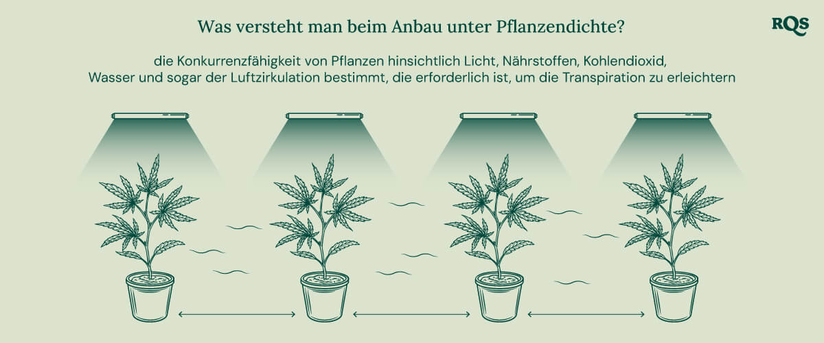 What is plant density 