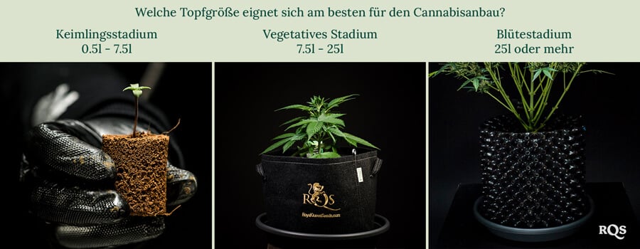 Best pot size for cannabis