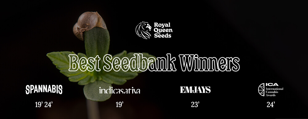 Best seedbank