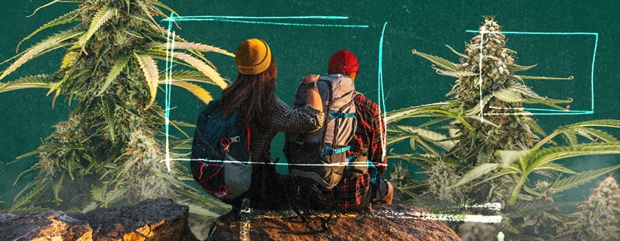 Zwei Personen sitzen auf einem Felsen, umgeben von Natur, mit Nahaufnahmen von Cannabispflanzen auf beiden Seiten, die ihre detaillierten Blätter und Knospen hervorheben.