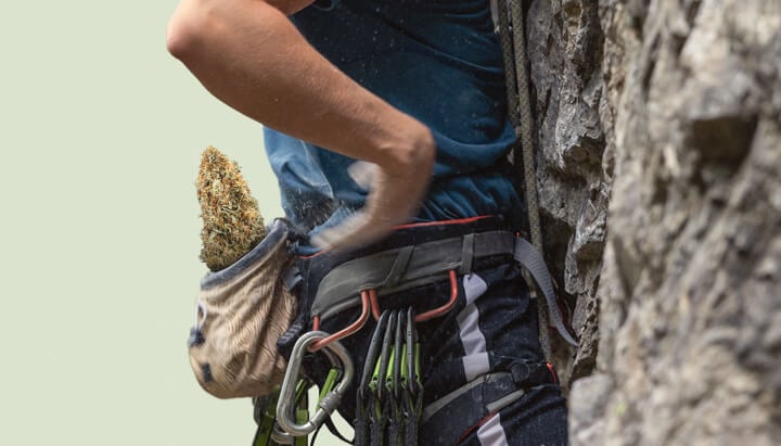 Cannabis climbing while high