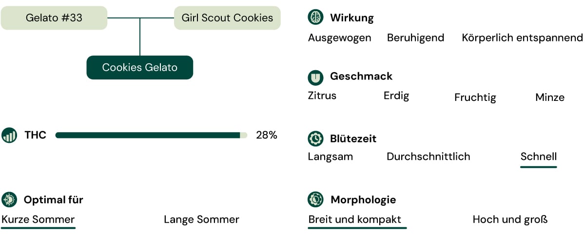 Cookies Gelato Key Attributes