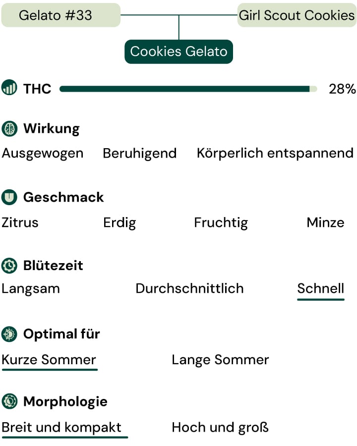 Cookies Gelato Key Attributes