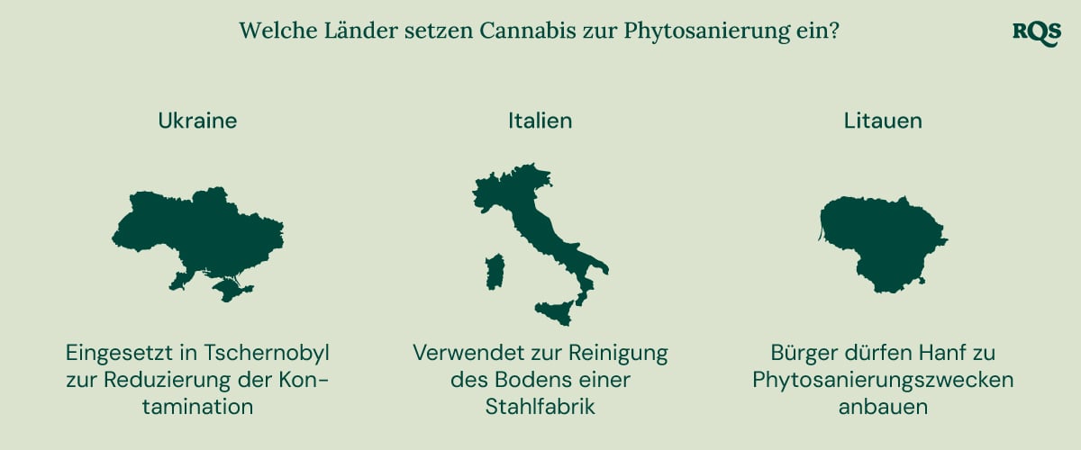 Infografik über Länder, die Cannabis zur Phytosanierung nutzen: Ukraine (Tschernobyl), Italien (Stahlwerk) und Litauen (Hanfanbau).