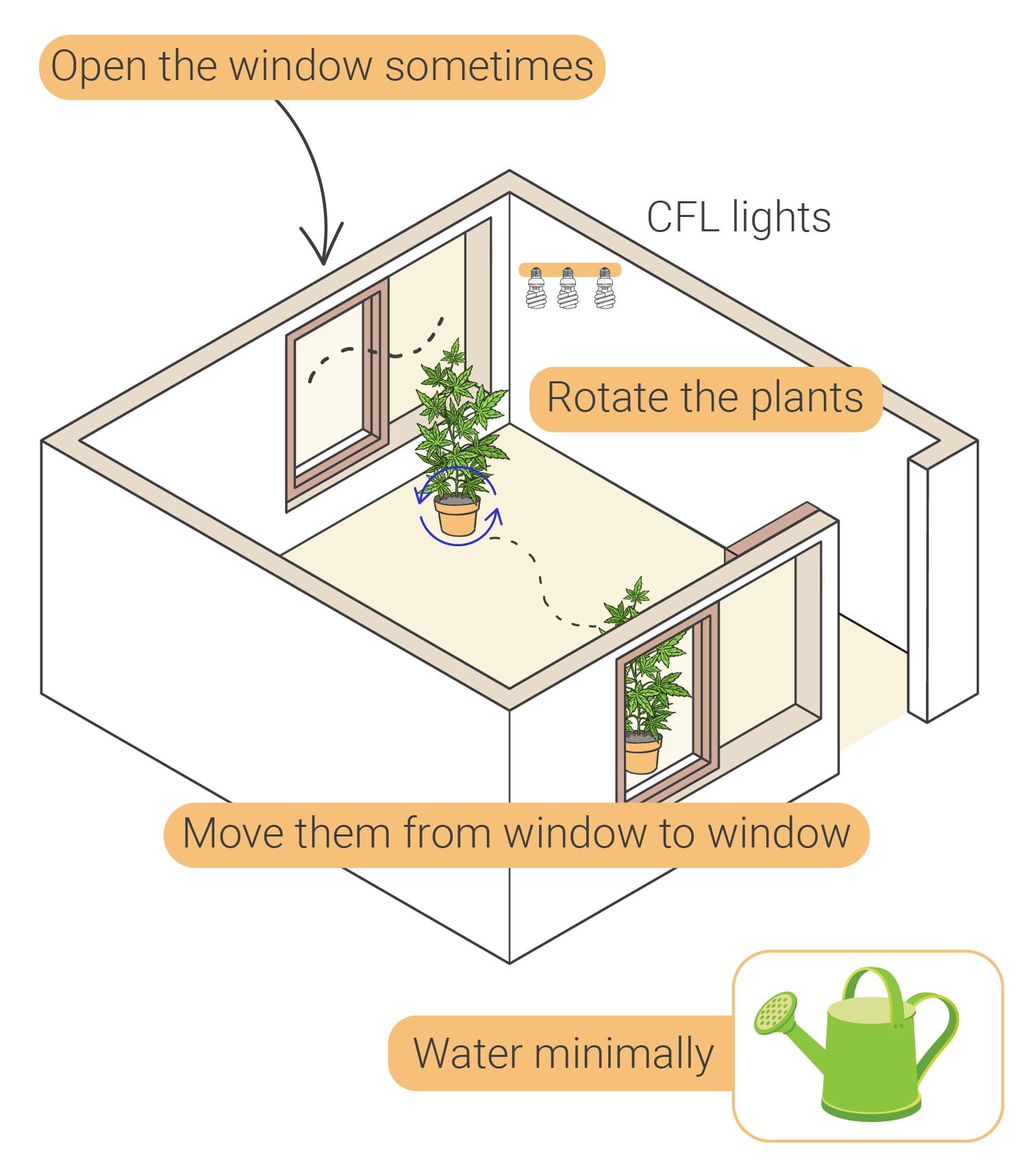 Wie man Cannabis indoor ohne Lampen anbaut