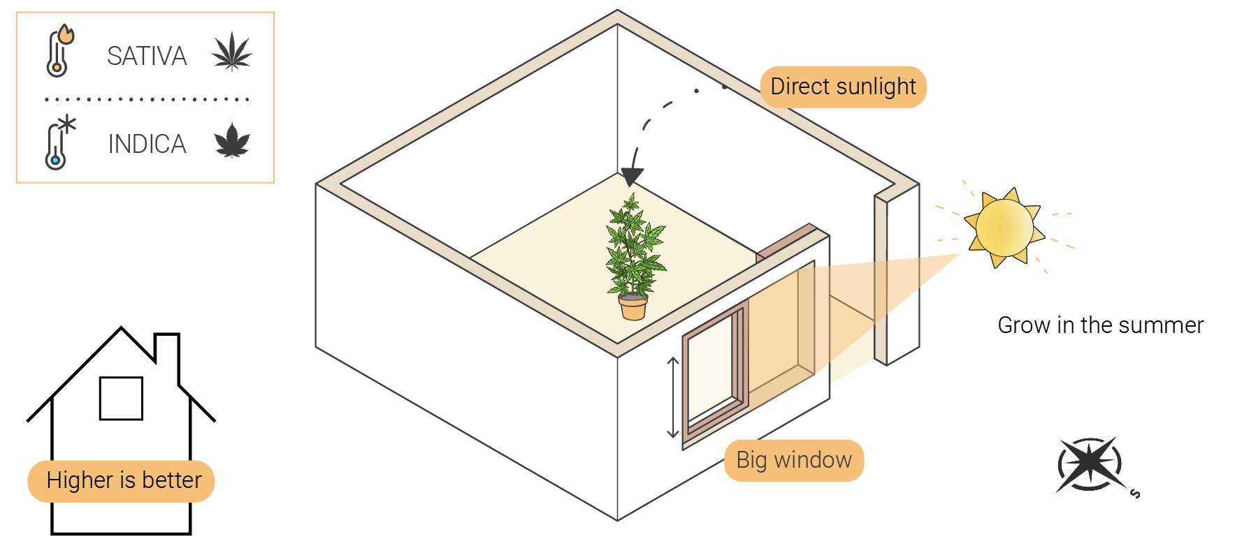 Wie man Cannabis indoor ohne Lampen anbaut